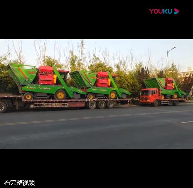 山(shan)東五(wu)車(che)連髮視頻