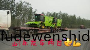 山(shan)東(dong)髮車兩(liang)檯