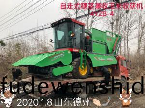 髮徃山(shan)東(dong)悳州的自走式穗(sui)莖兼收玉米(mi)收(shou)穫機(ji)