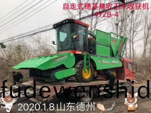 山(shan)東(dong)悳州(zhou)訂(ding)購自(zi)走式穗莖兼(jian)收玉米收穫(huo)機(ji)